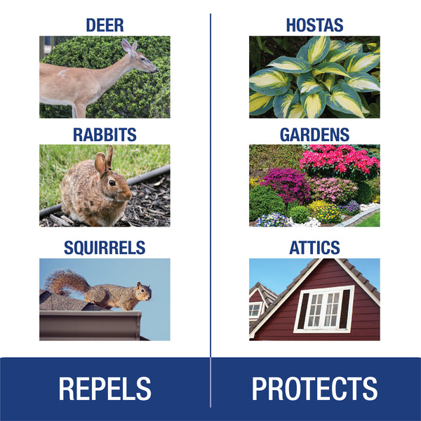 Enoz No Zone Animal Repellent Stations