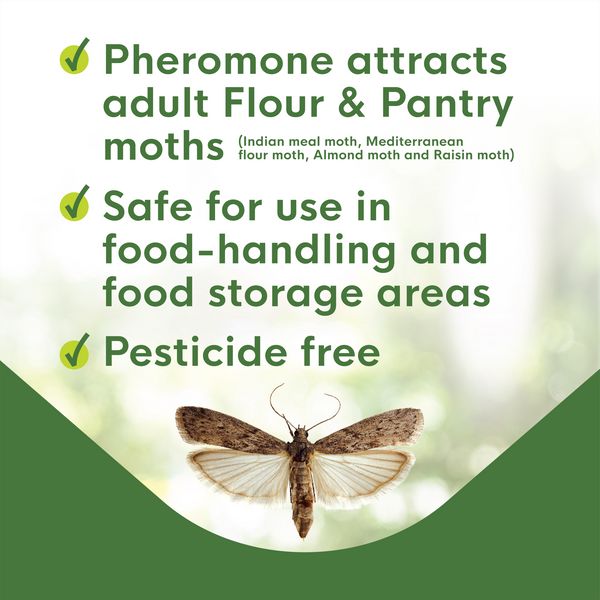Enoz BioCare Flour & Pantry Moth Traps