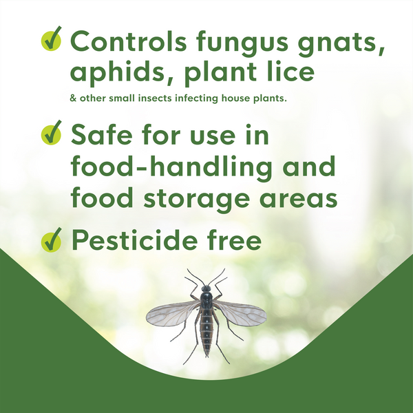 Enoz BioCare Gnat Stix