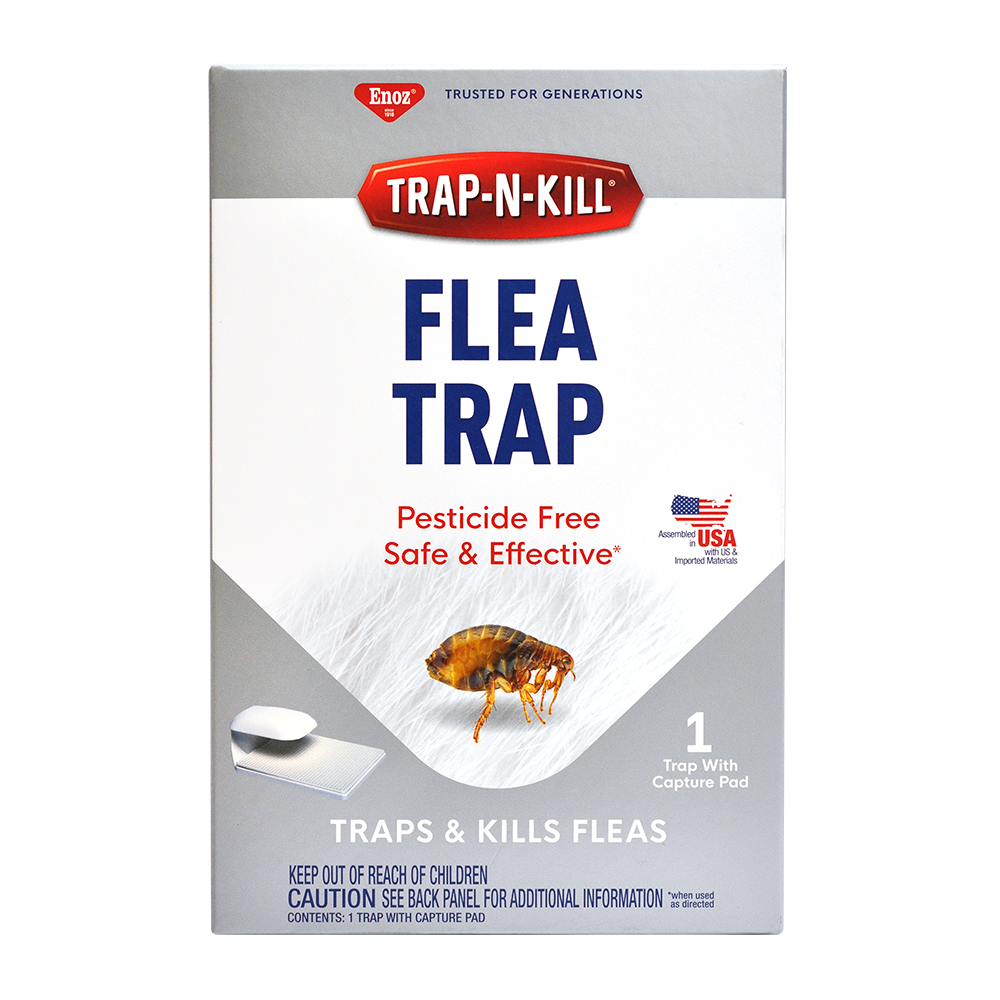 Enoz Trap-N-Kill Flea Trap
