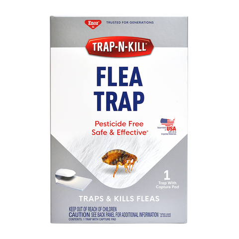 Enoz Trap-N-Kill Flea Trap