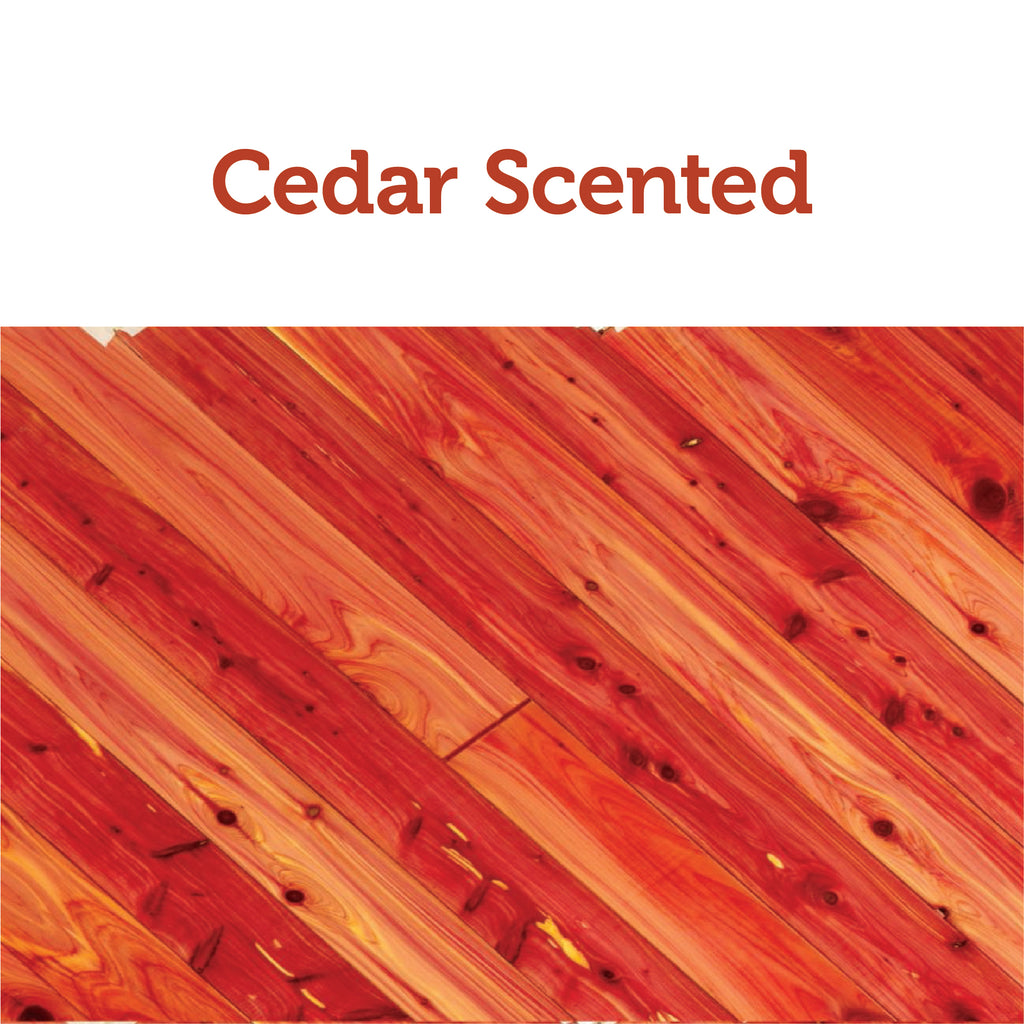 Cedar Closet Moth - Unique Products - Tempest Creations Company