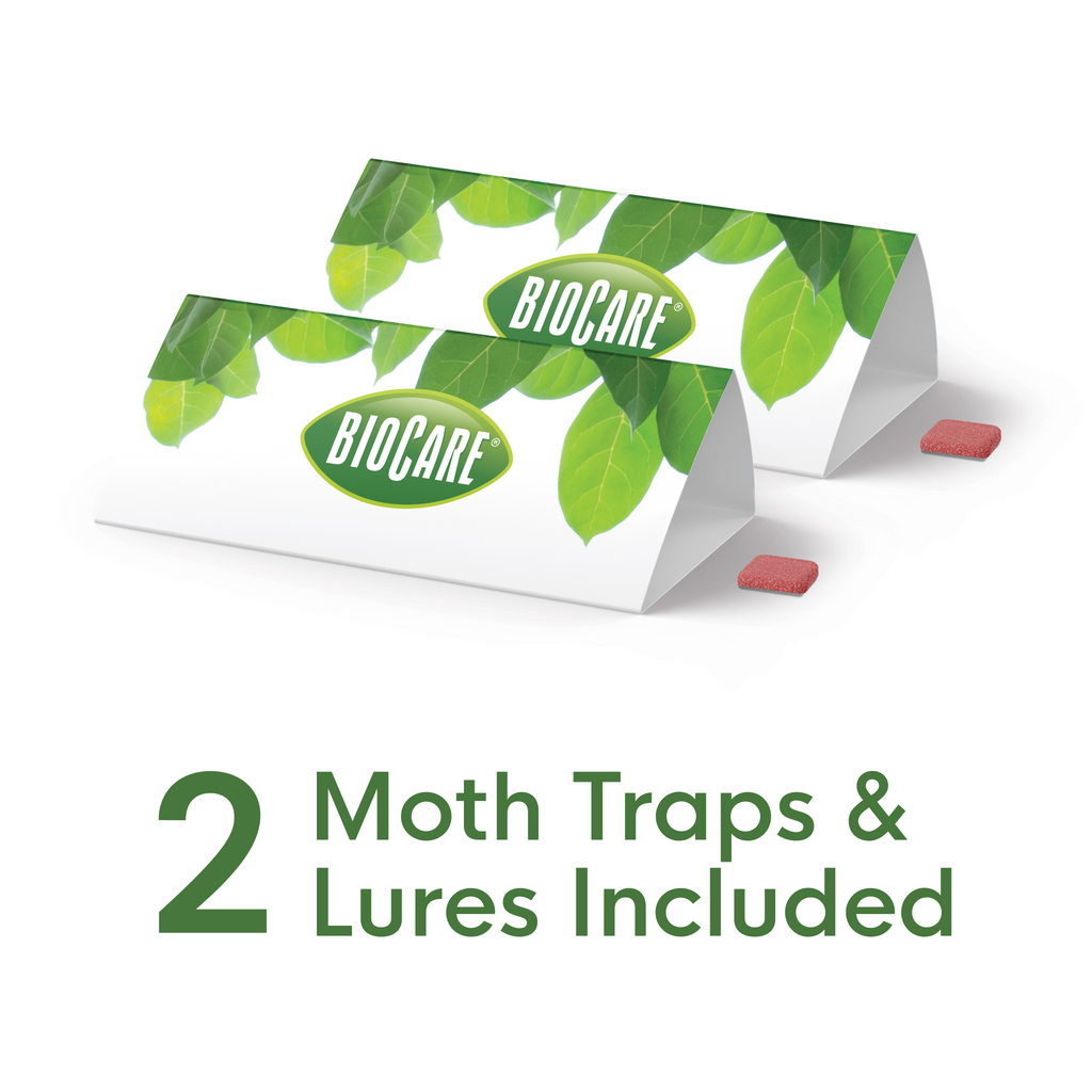 Raid Clothing Moth Trap, 12 Packs Of 2 