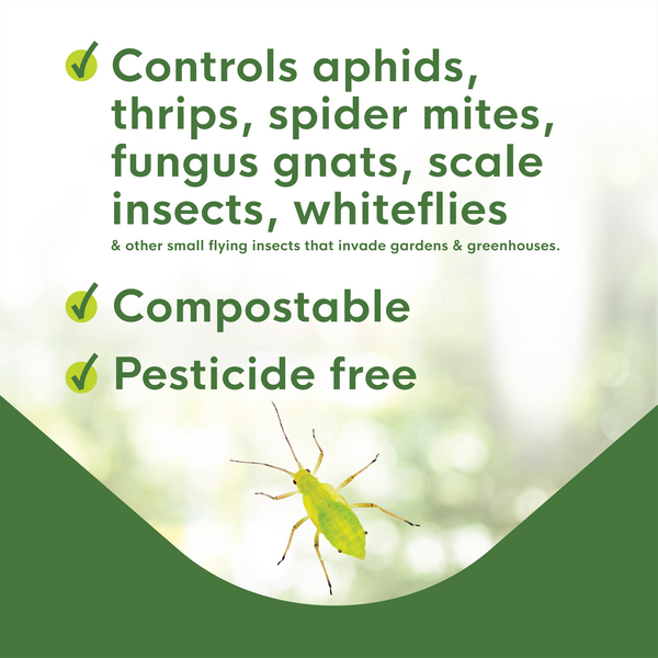 Enoz BioCare Aphid & Whitefly Traps